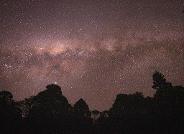 Instagram - Bunya Mountains